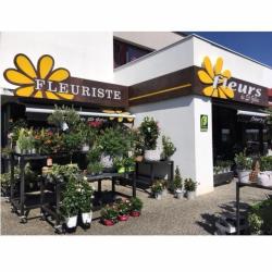 Fleurs De St Gilles