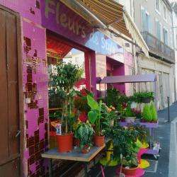 Fleurs De Style