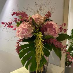 Fleurs D'italie