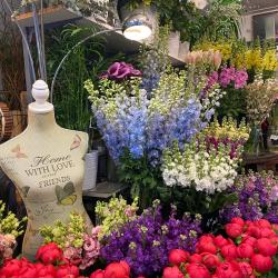 Fleurs D'italie