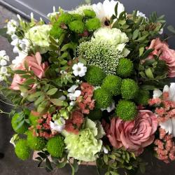 Fleurs En Couleur