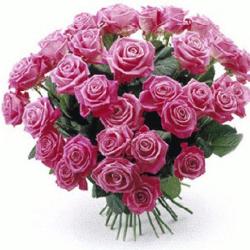 Fleurs Et Bouquets 7 Sur 7