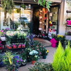 Fleurs Et Co