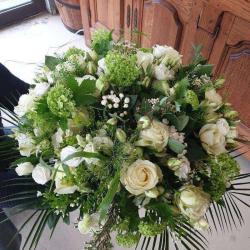 Fleurs Et Nature