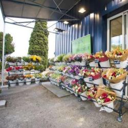 Fleurs Et Nuances