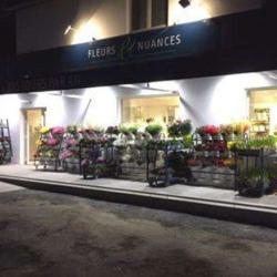 Fleurs Et Nuances