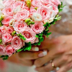 Fleurs Et Sentiments
