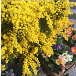 Fleurs Fruits Feuillages