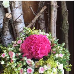 Fleurs Fruits Feuillages