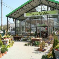 Fleurs Walther