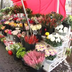 Fleuryan