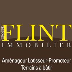 Flint Immobilier