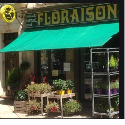 Floraison