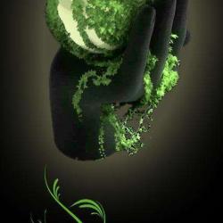 Flore Alliance