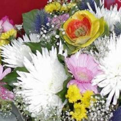 Flore