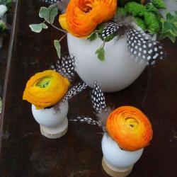 Flore Et Sens