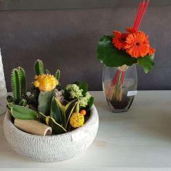 Florelys By Chloé