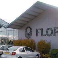 Florest