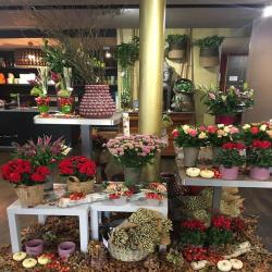 Floria