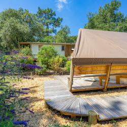 Flower Camping Des Pins