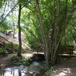 Flower Camping La Beaume