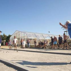 Flower Camping Les Paludiers