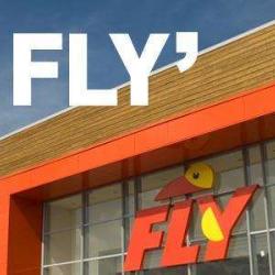 Fly