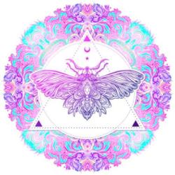 Fofana Voyance