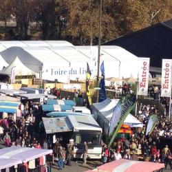 Foire Du Livre