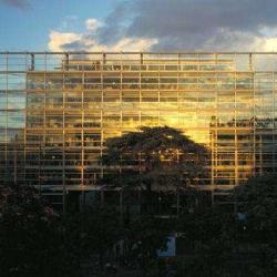 Fondation Cartier