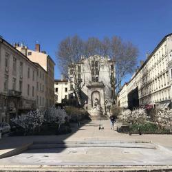 La Fontaine De La Place Gailleton