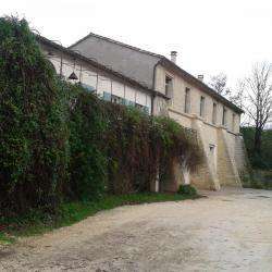 Fonteyne Elisabeth