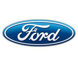Ford Occasion 36 Agent
