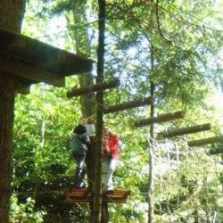 Forest Adventure