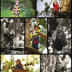 Forestland