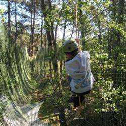 Foret Adrenaline