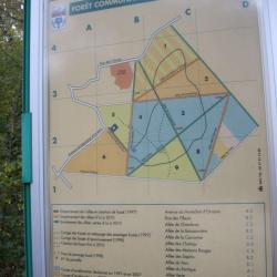 Forêt Communale De Chambray