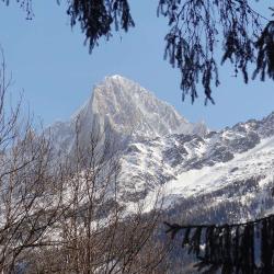 Forêt Communale De Chamonix