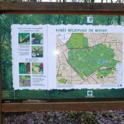 Forêt De Bondy