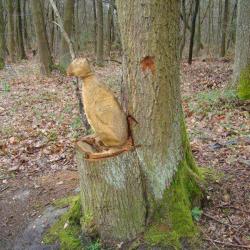 Forêt Régionale De Bondy