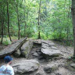 Forêt De Brocéliande