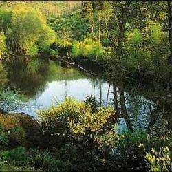 Forêt De Brocéliande