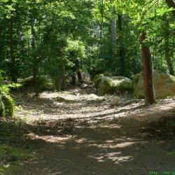 Forêt De Fontainebleau