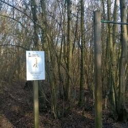 Forêt De La Sapinière