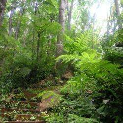 Foret De Montravail