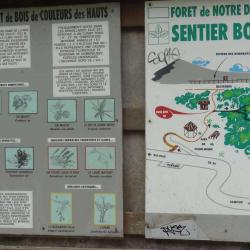 Forêt De Notre Dame De La Paix