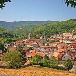 Forêt De Saint Pons Gemenos
