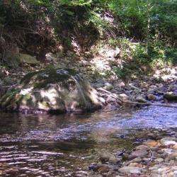 Forêt De Saou
