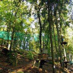 Forêt'vasion