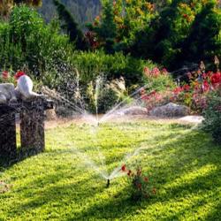 Forets Et Jardins D Ile De France